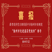 恭賀我所黨支部榮獲“徐州市先進基層黨組織”稱號